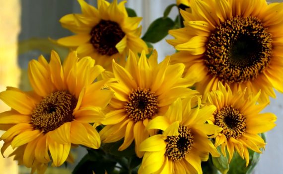 График работы в праздничные дни